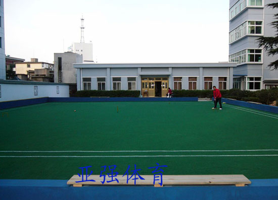 亞強體育施工案例:人造草坪門(mén)球場(chǎng)